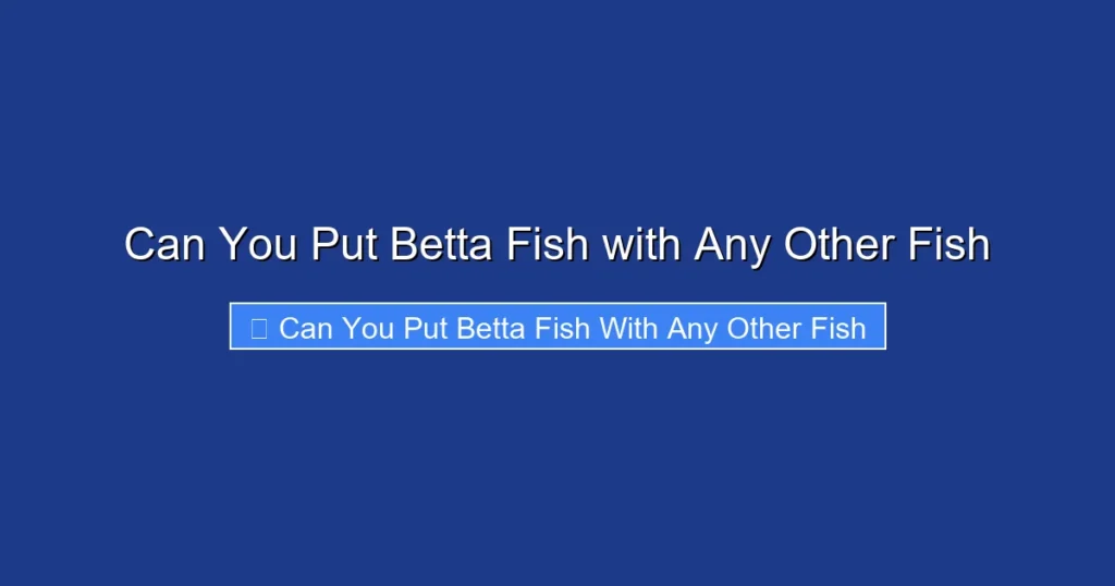 Can You Put Betta Fish with Any Other Fish