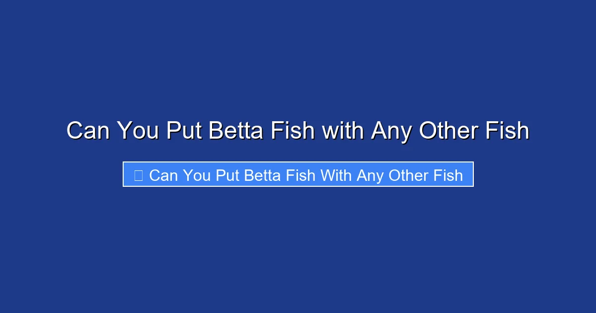 Can You Put Betta Fish with Any Other Fish