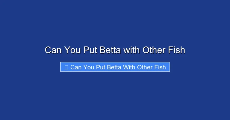 Can You Put Betta with Other Fish