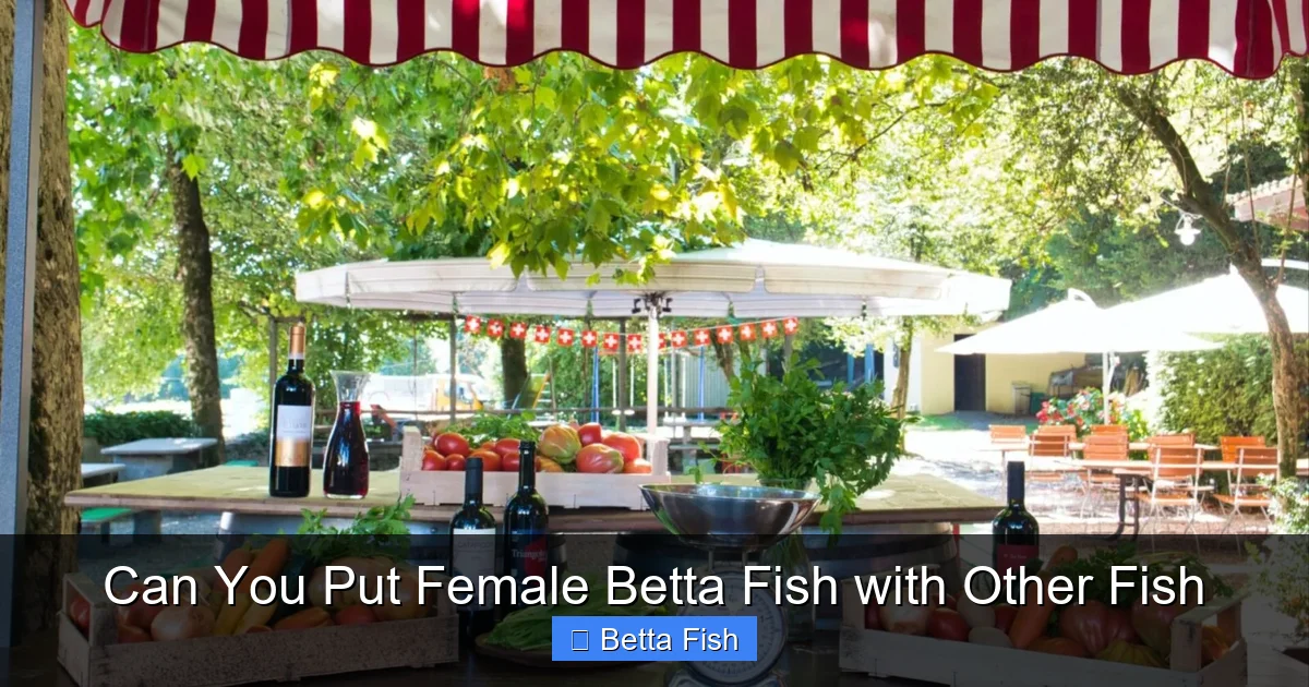 Can You Put Female Betta Fish with Other Fish
