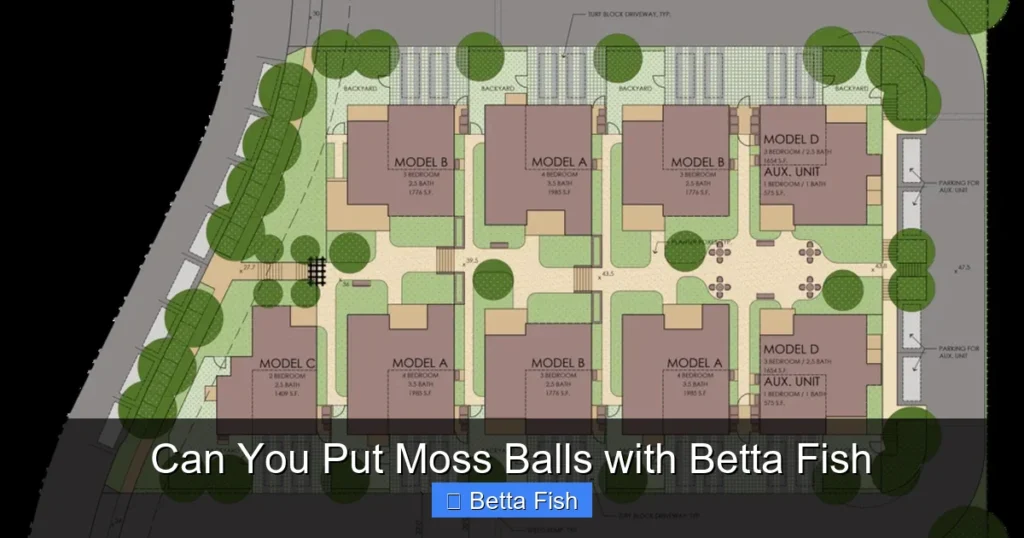 Can You Put Moss Balls with Betta Fish