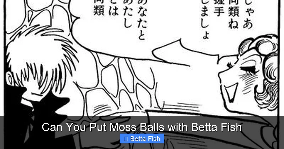 Can You Put Moss Balls with Betta Fish