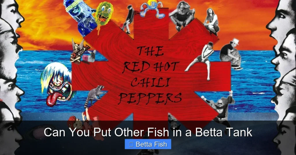 Can You Put Other Fish in a Betta Tank