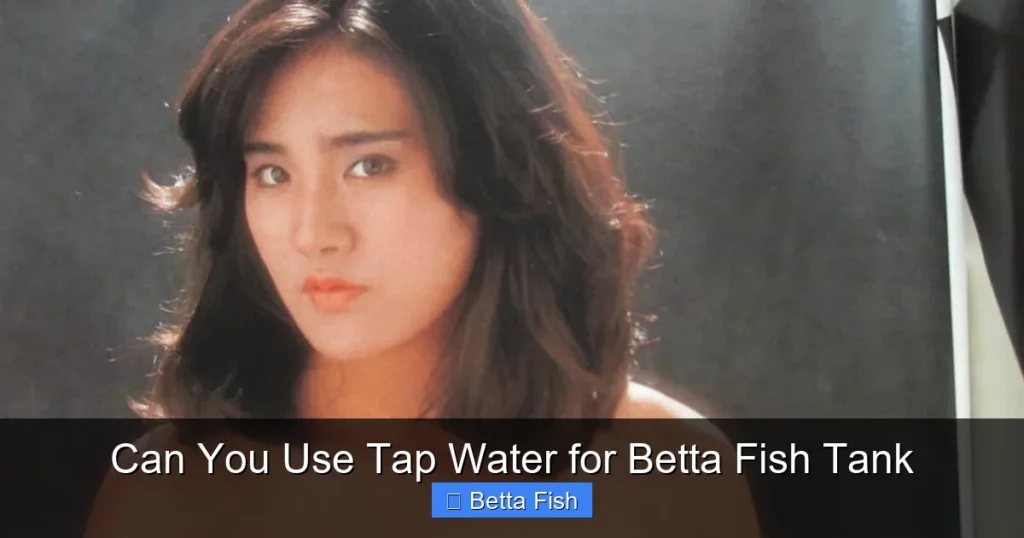 Can You Use Tap Water for Betta Fish Tank