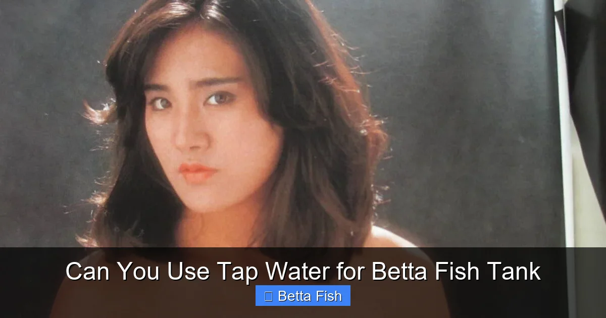 Can You Use Tap Water for Betta Fish Tank
