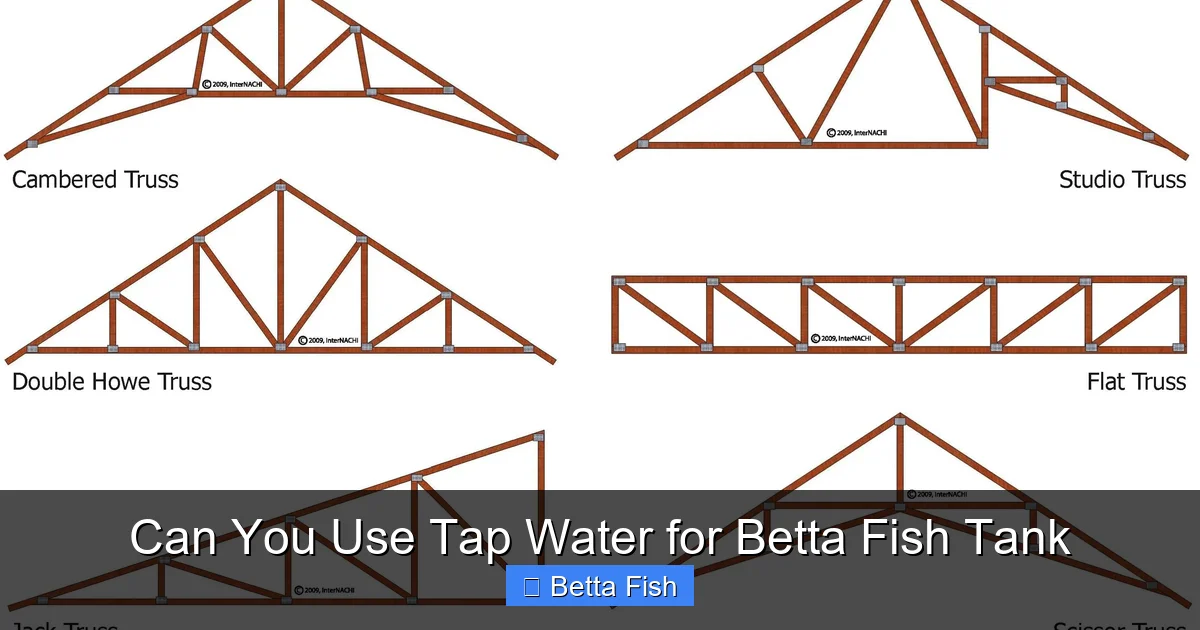 Can You Use Tap Water for Betta Fish Tank