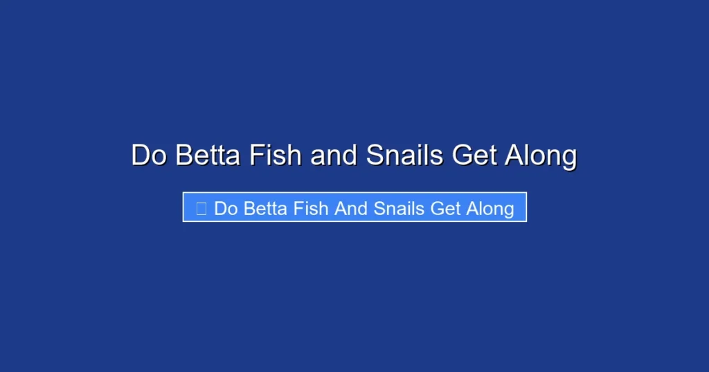 Do Betta Fish and Snails Get Along