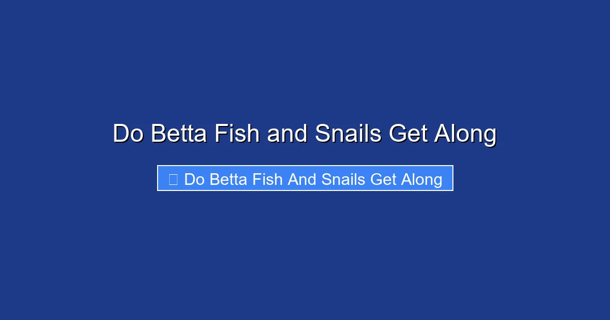 Do Betta Fish and Snails Get Along