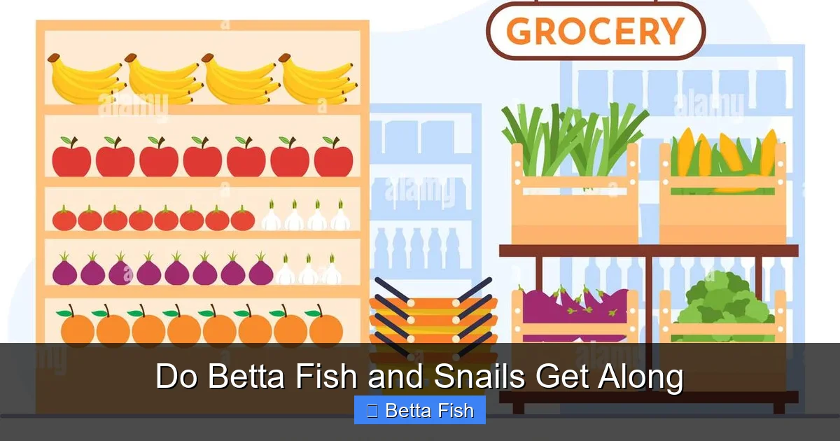 Do Betta Fish and Snails Get Along