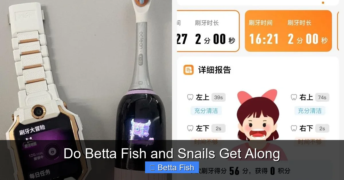 Do Betta Fish and Snails Get Along