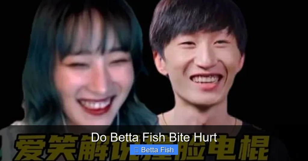 Do Betta Fish Bite Hurt