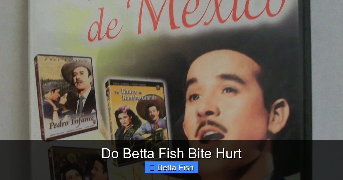 Do Betta Fish Bite Hurt