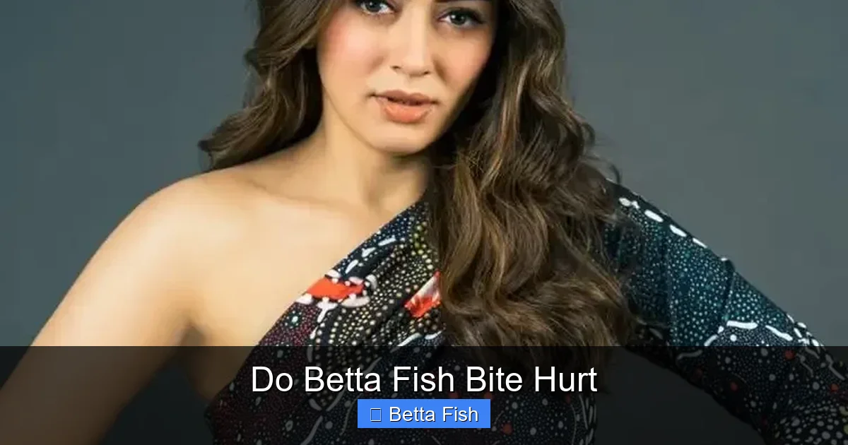 Do Betta Fish Bite Hurt