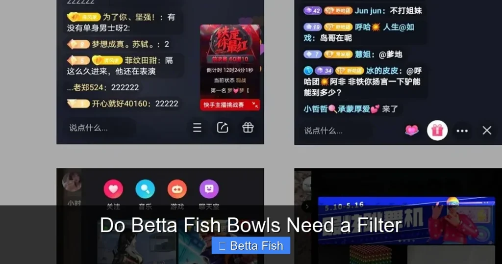 Do Betta Fish Bowls Need a Filter