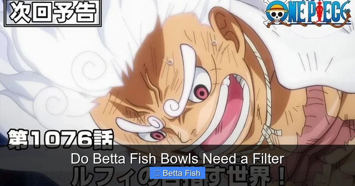 Do Betta Fish Bowls Need a Filter