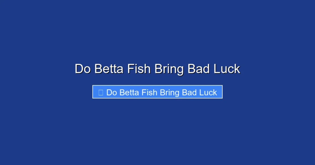Do Betta Fish Bring Bad Luck