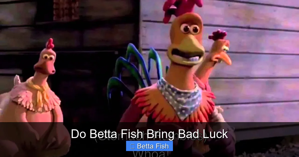 Do Betta Fish Bring Bad Luck