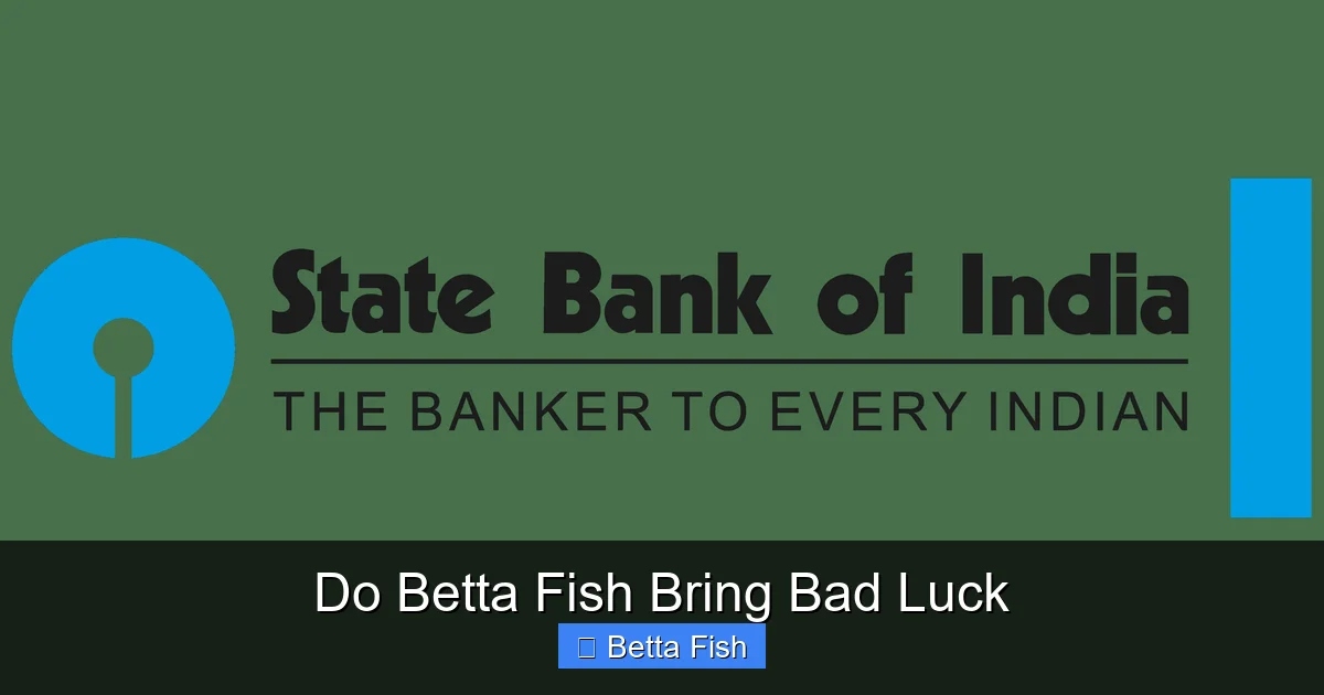Do Betta Fish Bring Bad Luck