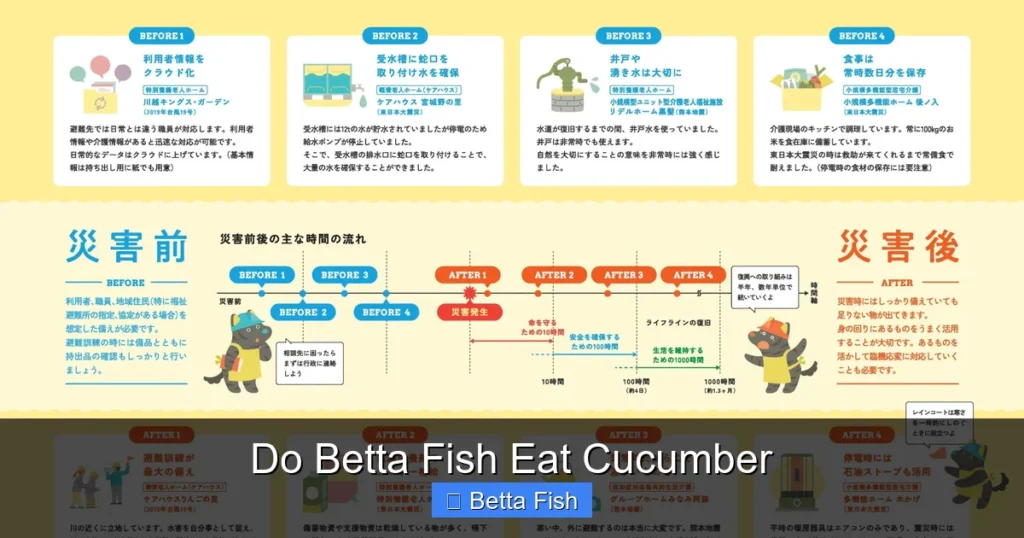 Do Betta Fish Eat Cucumber