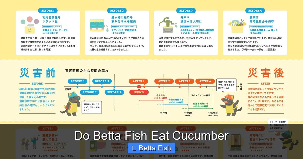 Do Betta Fish Eat Cucumber