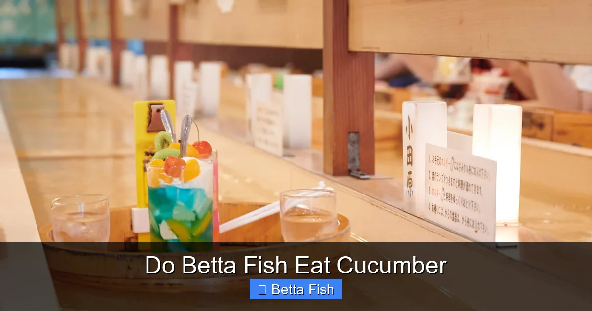 Do Betta Fish Eat Cucumber