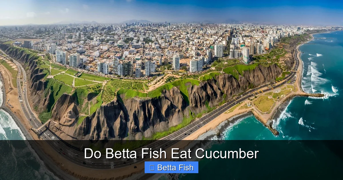 Do Betta Fish Eat Cucumber
