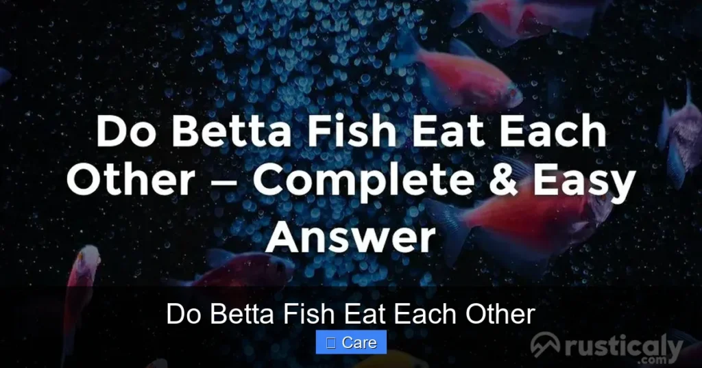 Do Betta Fish Eat Each Other