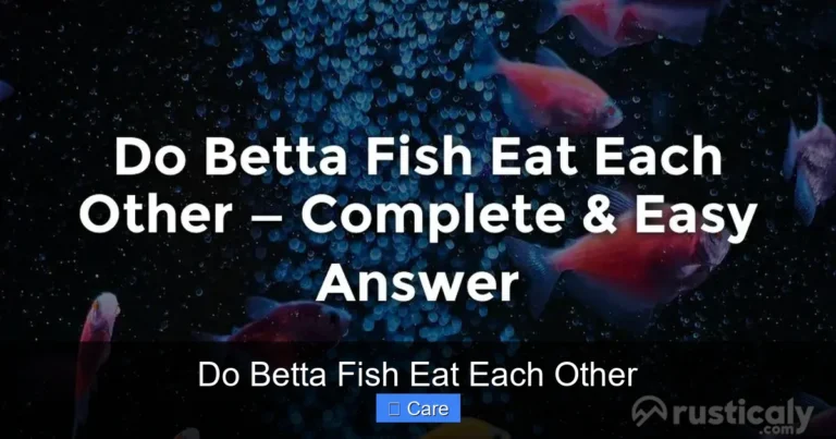 Do Betta Fish Eat Each Other