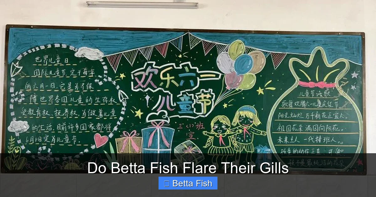 Do Betta Fish Flare Their Gills
