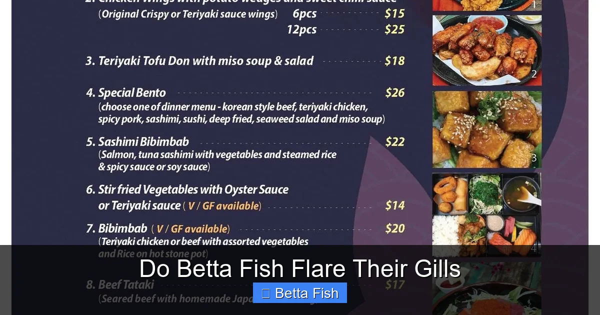 Do Betta Fish Flare Their Gills