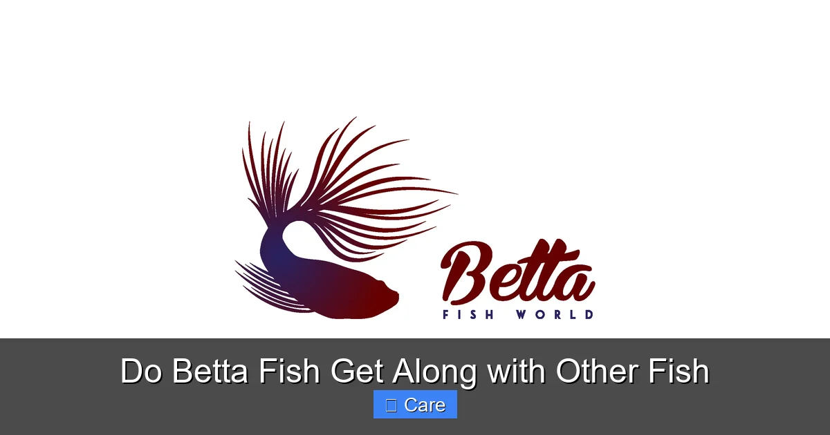 Do Betta Fish Get Along with Other Fish