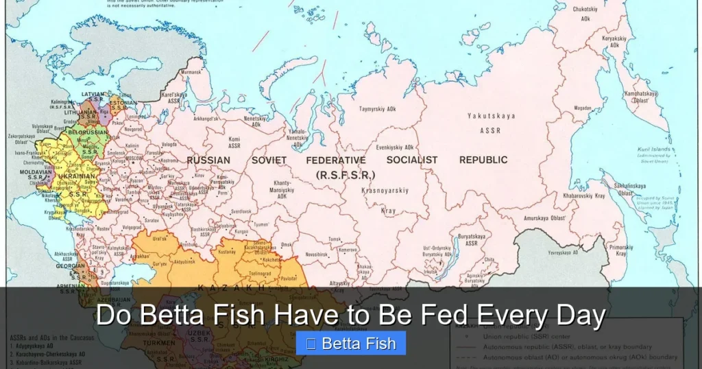 Do Betta Fish Have to Be Fed Every Day