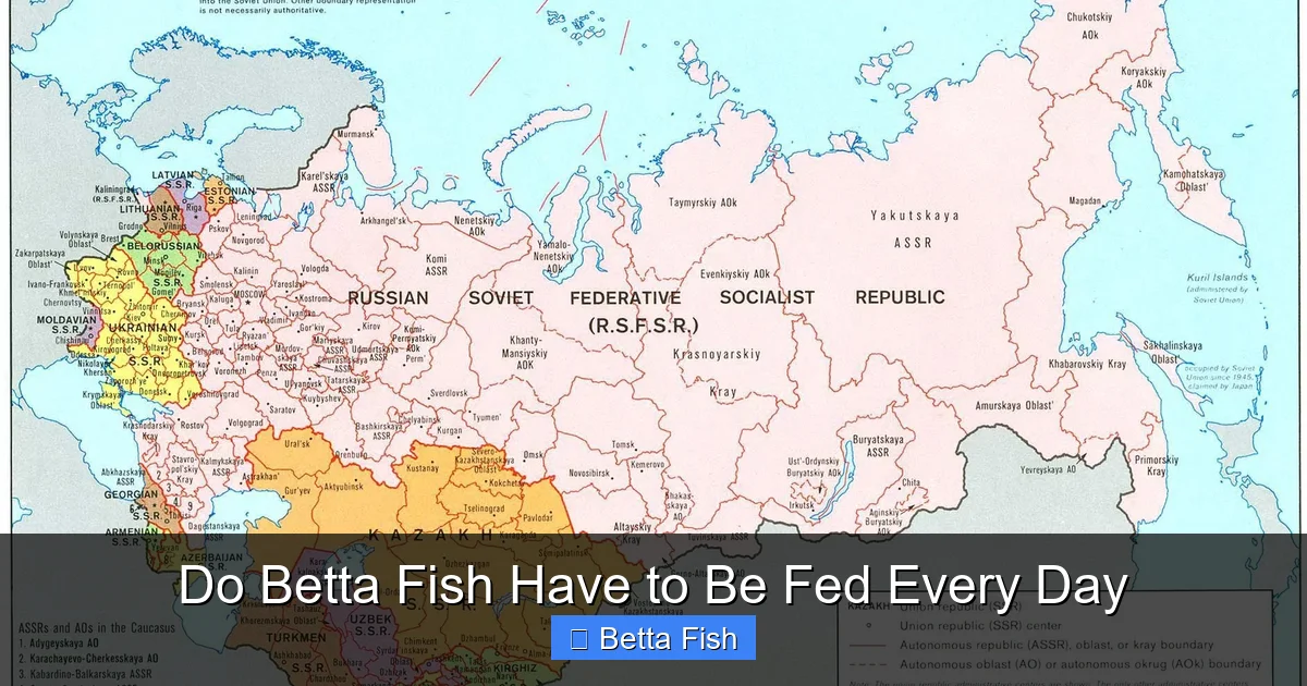 Do Betta Fish Have to Be Fed Every Day