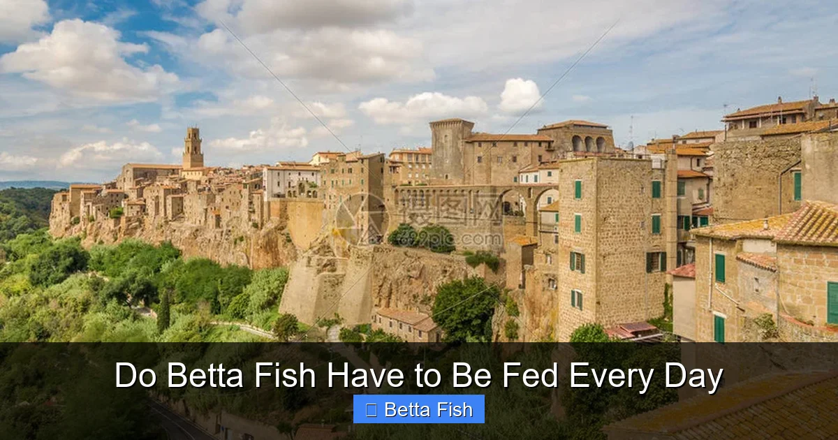 Do Betta Fish Have to Be Fed Every Day