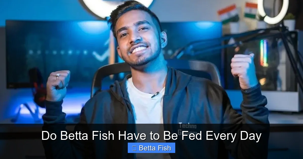 Do Betta Fish Have to Be Fed Every Day