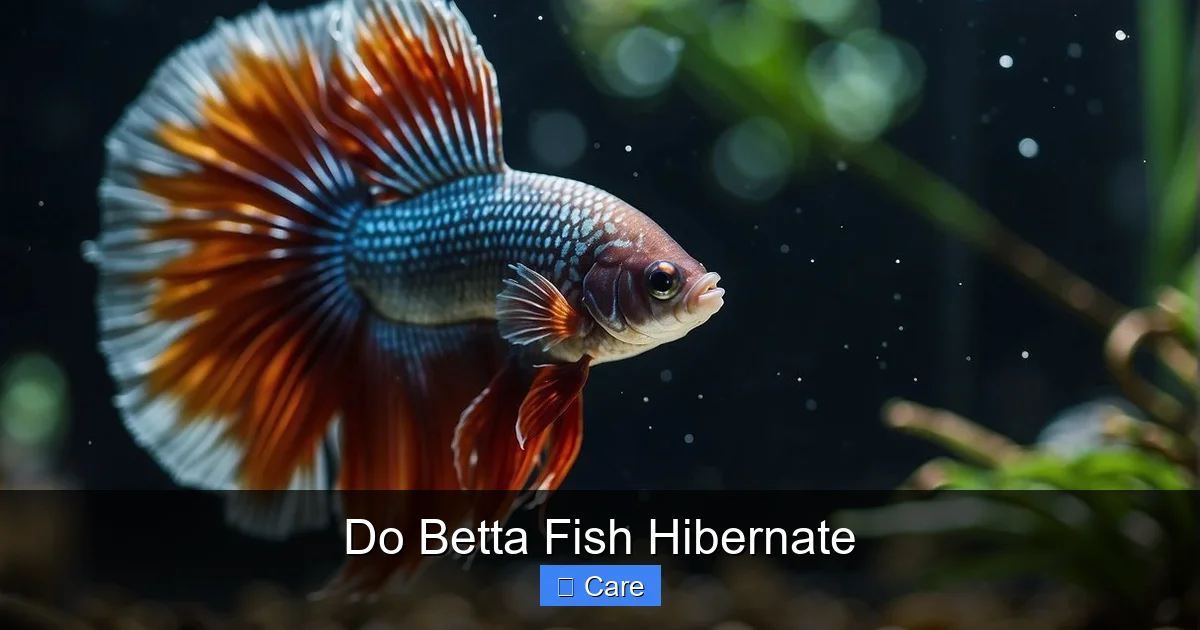 Do Betta Fish Hibernate