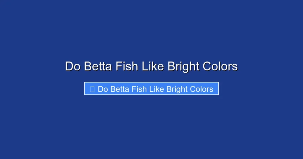 Do Betta Fish Like Bright Colors