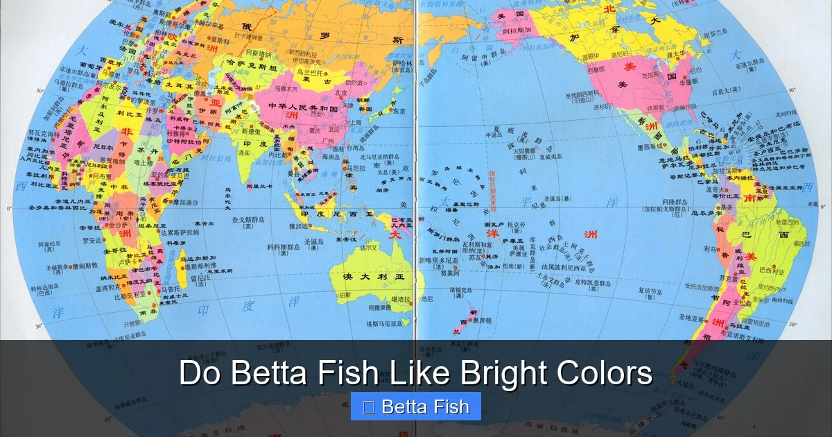 Do Betta Fish Like Bright Colors