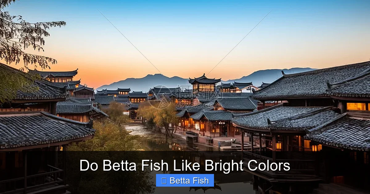 Do Betta Fish Like Bright Colors
