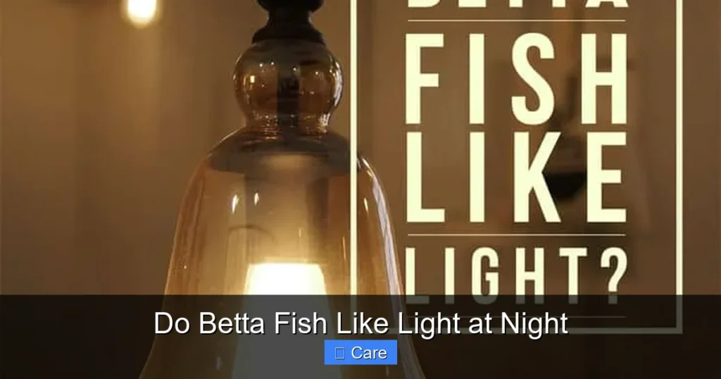 Do Betta Fish Like Light at Night