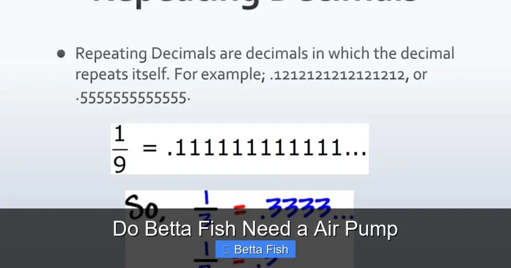 Do Betta Fish Need a Air Pump