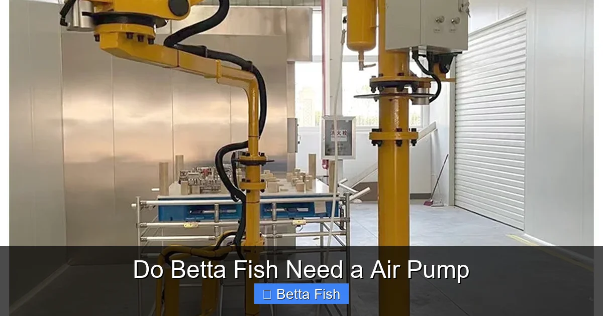 Do Betta Fish Need a Air Pump