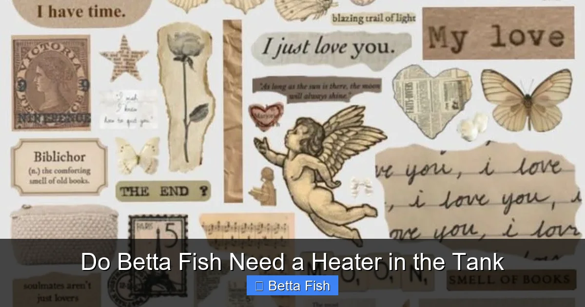 Do Betta Fish Need a Heater in the Tank