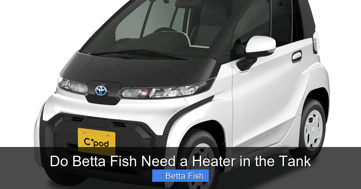 Do Betta Fish Need a Heater in the Tank