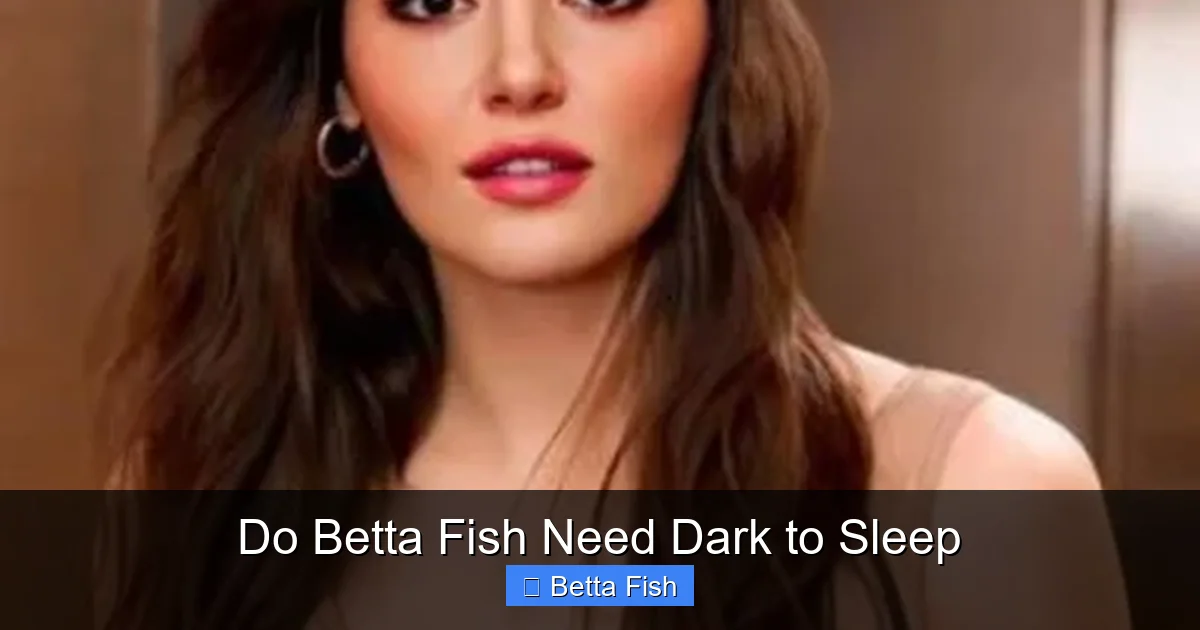 Do Betta Fish Need Dark to Sleep