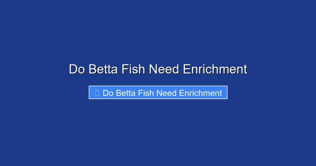 Do Betta Fish Need Enrichment