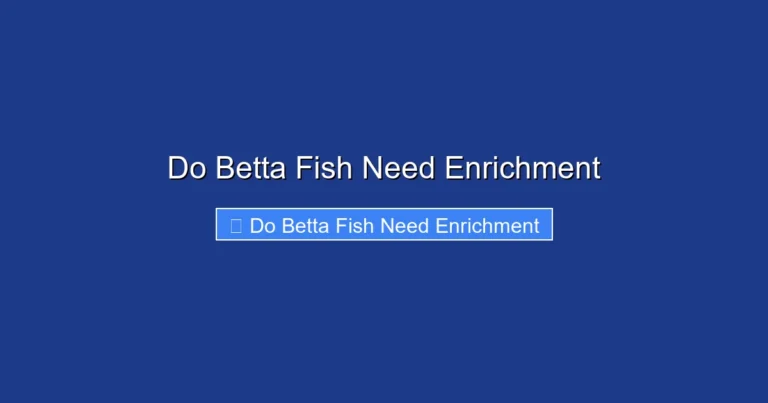 Do Betta Fish Need Enrichment