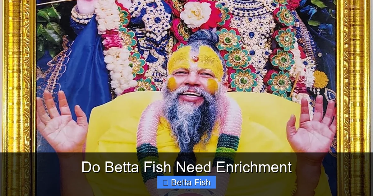 Do Betta Fish Need Enrichment