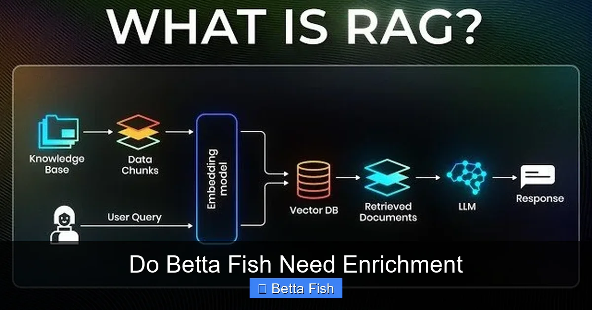 Do Betta Fish Need Enrichment