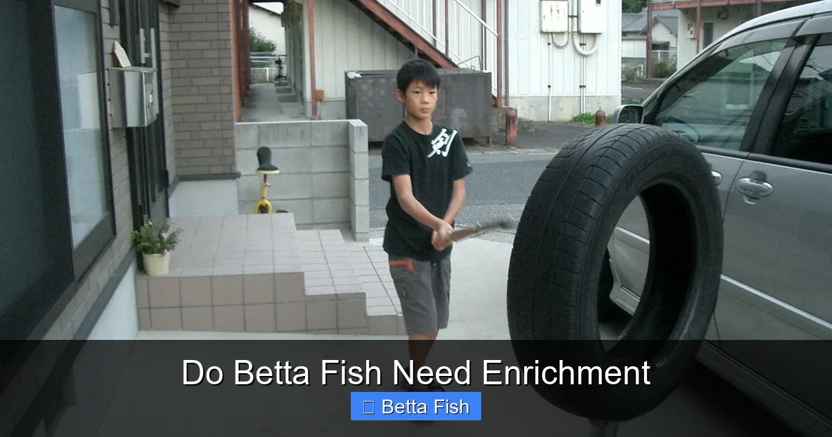 Do Betta Fish Need Enrichment